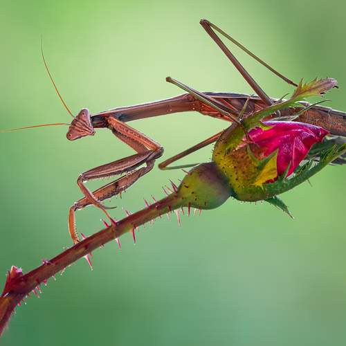 Preview Photographer\'s photo Atul Saluja