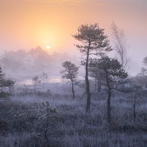 Preview Photographer\'s photo Гордон Николай