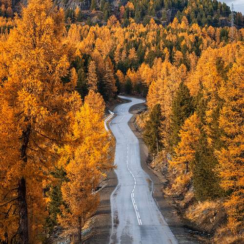 Превью фотографии фотографа Бодрягин Виталий