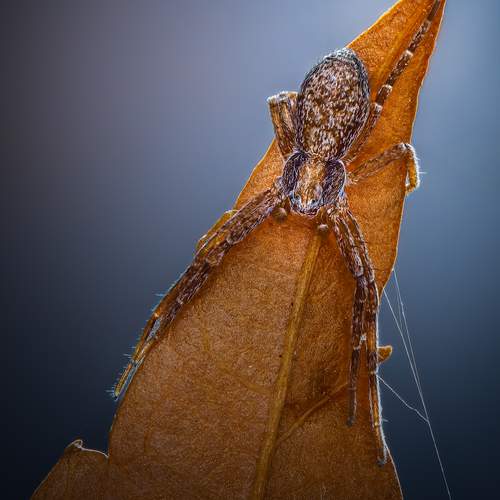 Preview Photographer\'s photo Atul Saluja