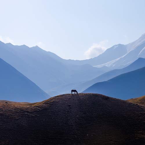 Preview Photographer\'s photo Элина Магалимова