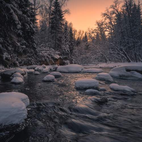 Превью фотографии фотографа Andris Polikevics