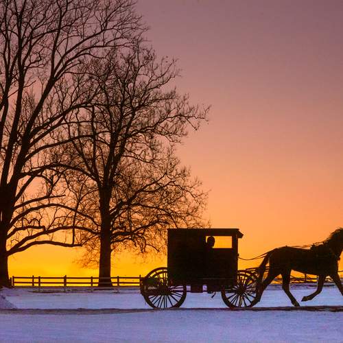 Превью фотографии фотографа Donald Reese