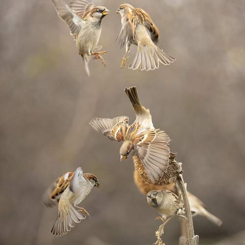 Preview Photographer\'s photo Валерий Черняк