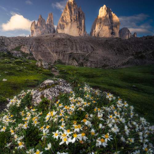 Preview Photographer\'s photo Вукотић Никола