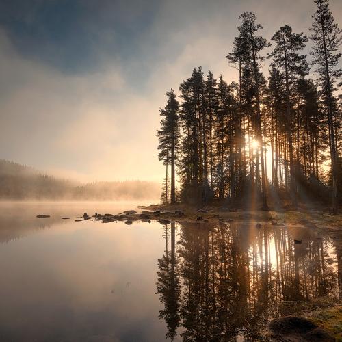 Preview Photographer\'s photo Весела Маринова