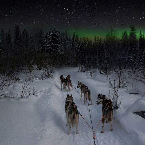 Превью фотографии фотографа Вадим Городницкий