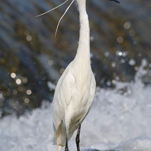 Preview Photographer\'s photo Akira Enzeru