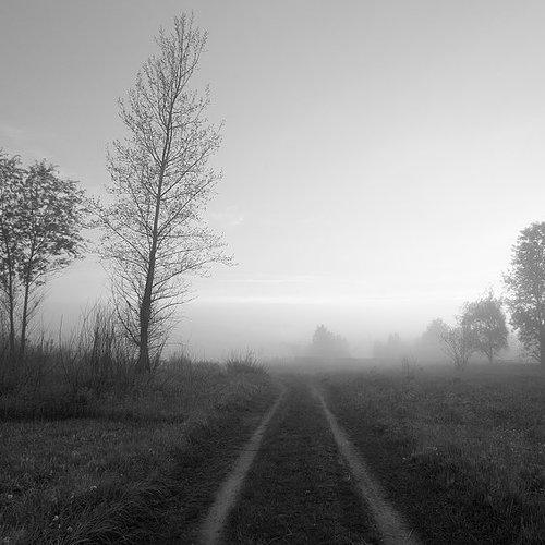 Превью фотографии фотографа dima05