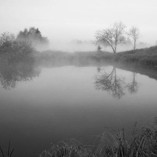 Превью фотографии фотографа dima05