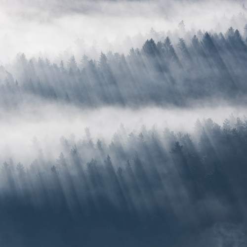 Превью фотографии фотографа  Mirosław Pruchnicki