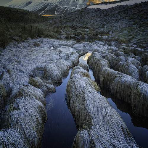 Preview Photographer\'s photo Anconetani Luca