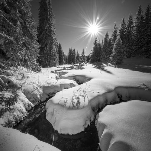 Preview Photographer\'s photo Mariyana Atanasova - Lucero