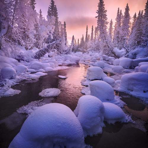 Превью фотографии фотографа Королев Сергей