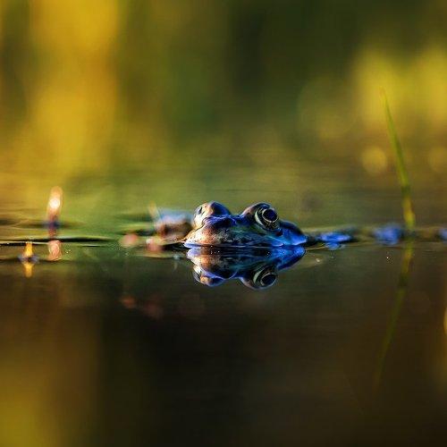 Preview Photographer\'s photo Ратушнова-Осинцева Арина