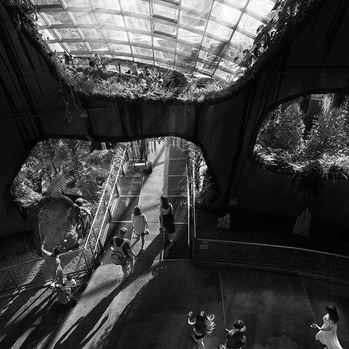 Preview Photographer\'s photo ALLA SOKOLOVA