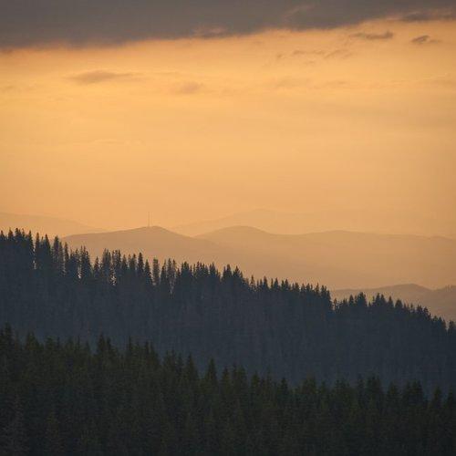 Preview Photographer\'s photo Ivan Palis