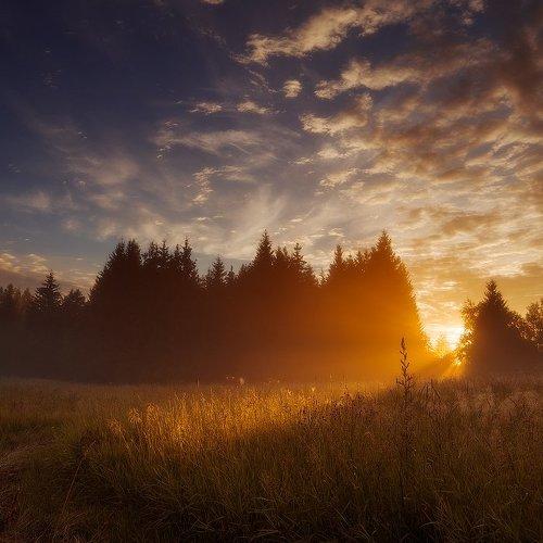 Preview Photographer\'s photo Justinas Kondrotas