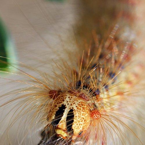 Превью фотографии фотографа Эдуард Ким