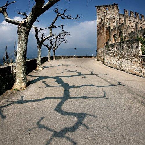 Превью фотографии фотографа Alexey Elkin