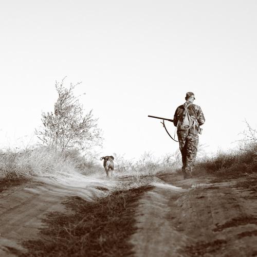 Preview Photographer\'s photo Сергей Нестеров