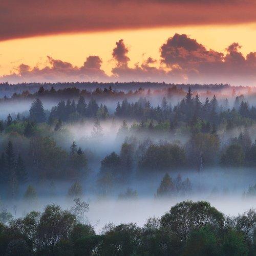 Превью фотографии фотографа Евгений Ляпунов