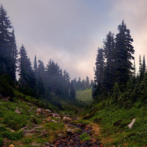 Preview Photographer\'s photo Svetlana Popova