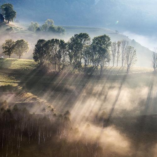 Превью фотографии фотографа Marius Turc