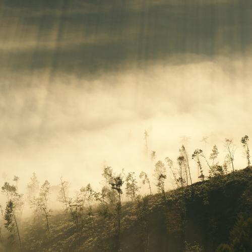 Preview Photographer\'s photo Shin