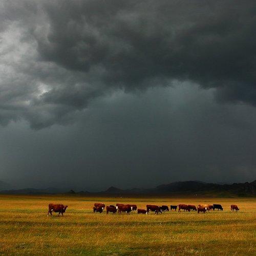 Preview Photographer\'s photo Наталья Кайзер