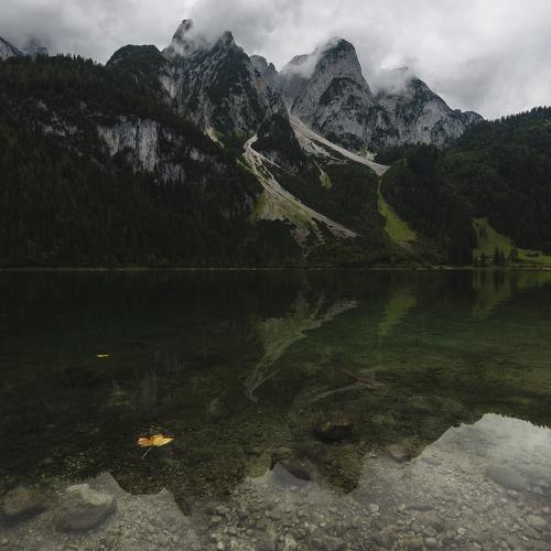 Превью фотографии фотографа Nikita Leksikov