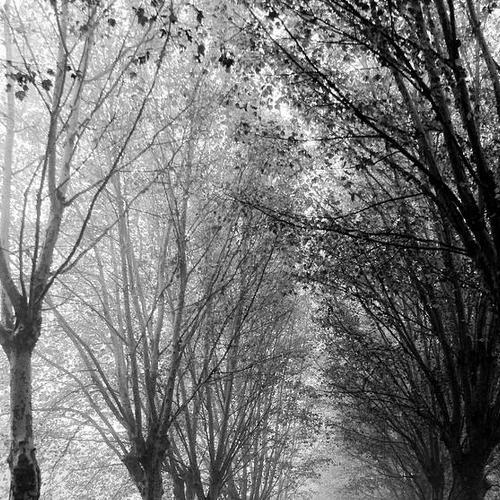 Preview Photographer\'s photo Ulan Alash