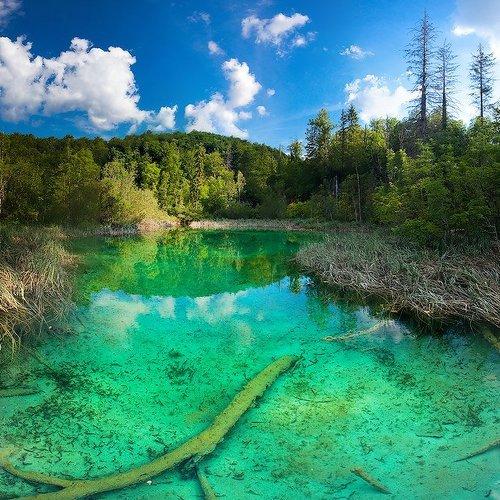 Превью фотографии фотографа Строганов Алексей