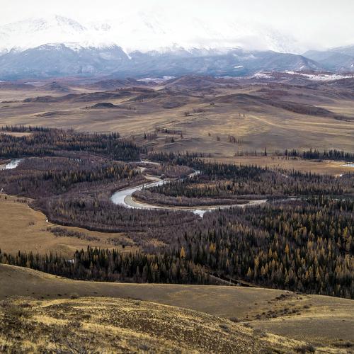 Превью фотографии фотографа  Людмила