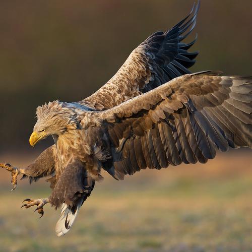 Preview Photographer\'s photo Ivan Ivanov