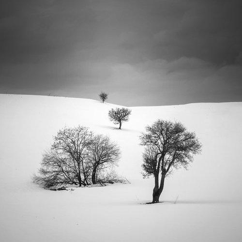 Preview Photographer\'s photo Kani (kanipolat.com) Polat