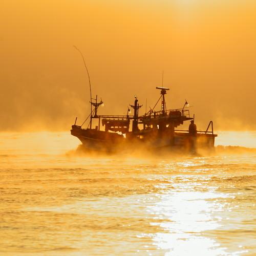 Preview Photographer\'s photo Shin