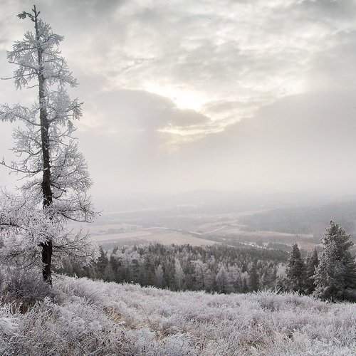 Превью фотографии фотографа Svetlana Popova