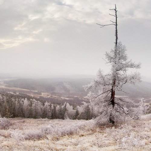 Превью фотографии фотографа Svetlana Popova