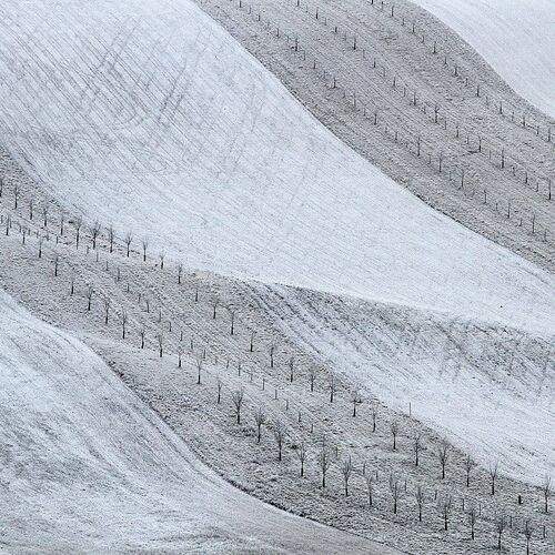 Preview Photographer\'s photo František Uhler