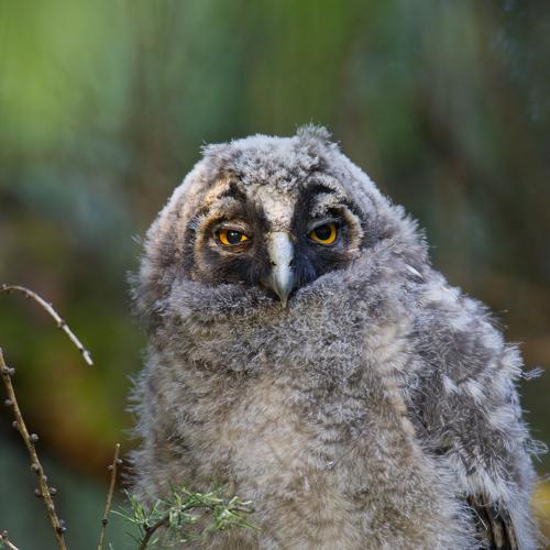 Превью фотографии фотографа Grzegorz Zimny