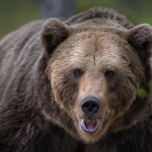 Preview Photographer\'s photo Jarkko Järvinen