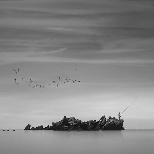 Preview Photographer\'s photo Hossein Mehrzad