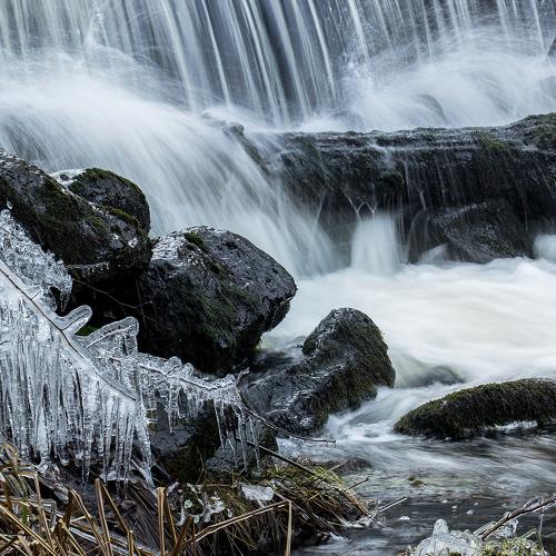Превью фотографии фотографа Ansis Zegners
