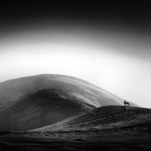 Preview Photographer\'s photo Olari Ionut