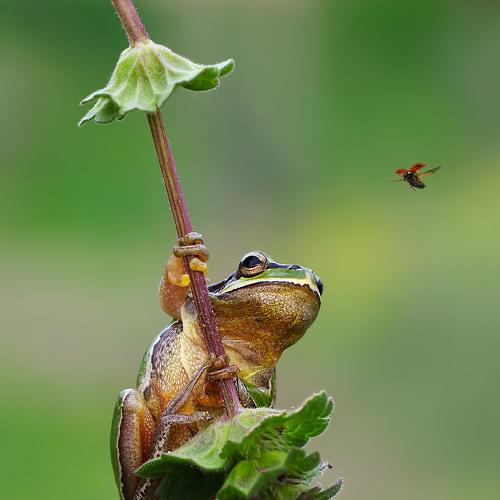 Preview Photographer\'s photo Savas Sener