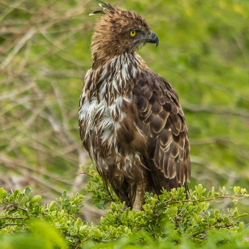 Preview Photographer\'s photo Moutaz Fino