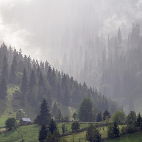 Preview Photographer\'s photo Marius Turc