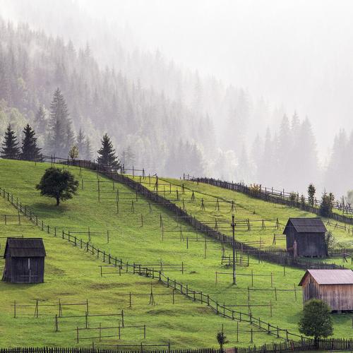 Превью фотографии фотографа Marius Turc