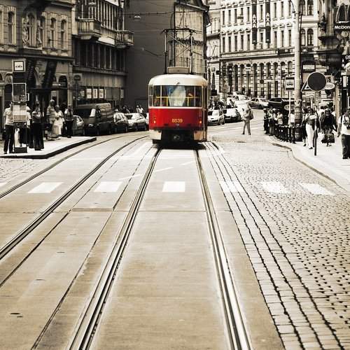 Превью фотографии фотографа Пётр Берберов